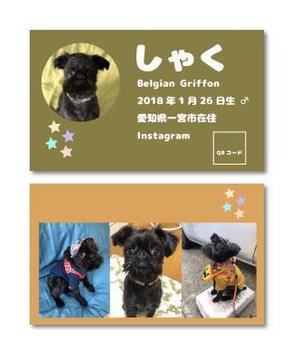 ITG (free_001)さんのワンちゃんのお名刺デザインへの提案