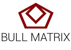 CHRONO_DESIGNさんの「BULL MATRIX」のロゴ作成への提案