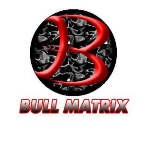 さんの「BULL MATRIX」のロゴ作成への提案