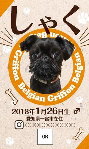 akakidesign (akakidesign)さんのワンちゃんのお名刺デザインへの提案