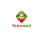 doviさんの「fireweed」の会社ロゴ作成への提案