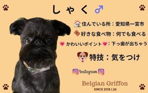^_^ (kaeco_co)さんのワンちゃんのお名刺デザインへの提案