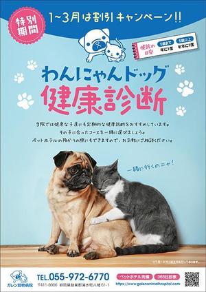 ミティ (p_sect)さんの動物病院の健康診断キャンペーンのチラシ・DM作成への提案