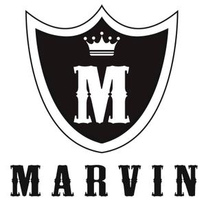 株式会社こもれび (komorebi-lc)さんのカーパーツサイト エアロ 「MARVIN」 のロゴへの提案