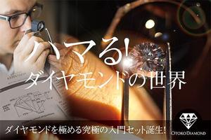 spice (spice)さんのインパクトのあるクラウドファンディング用の広告デザイン制作　　への提案