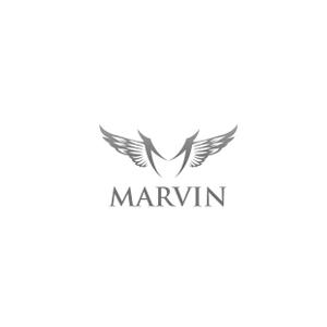 TAD (Sorakichi)さんのカーパーツサイト エアロ 「MARVIN」 のロゴへの提案