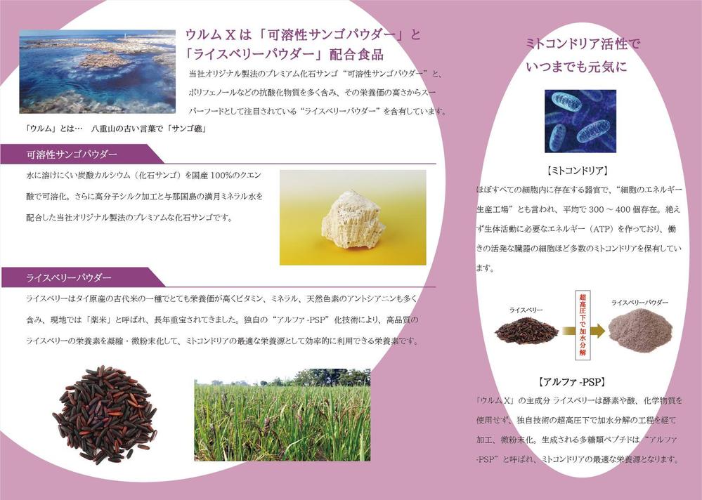 【12月新発売】有機ライスベリー含有 健康食品のリーフレット制作
