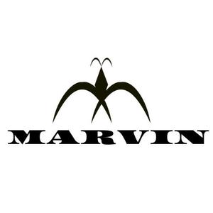 kohei (koheimax618)さんのカーパーツサイト エアロ 「MARVIN」 のロゴへの提案