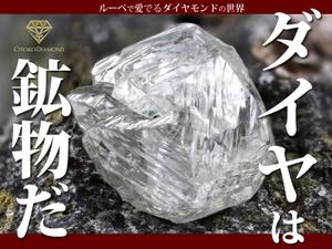 デザイン工房たまき堂 (ds-tamaki-dou)さんのインパクトのあるクラウドファンディング用の広告デザイン制作　　への提案