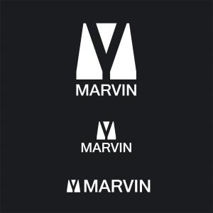 nam_350 ()さんのカーパーツサイト エアロ 「MARVIN」 のロゴへの提案