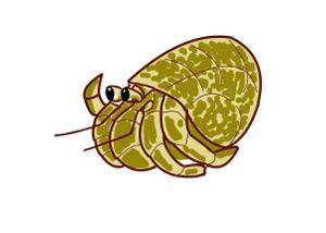 小田　一郎 (ichannel16)さんのオカヤドカリのキャラクターデザインへの提案