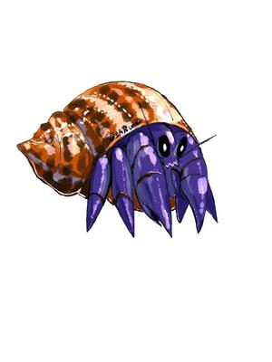躯咲マドロミ ()さんのオカヤドカリのキャラクターデザインへの提案