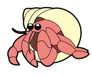 NonnoDesignLabo 片岡希 (NozomiKataoka)さんのオカヤドカリのキャラクターデザインへの提案
