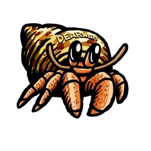 pinejiroさんのオカヤドカリのキャラクターデザインへの提案