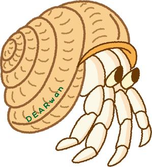 有枝ダフニア (arieda_dafunia)さんのオカヤドカリのキャラクターデザインへの提案
