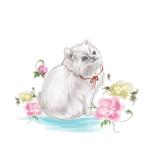 YUKKIY (YUKKIY)さんの【商用利用】かわいい猫や薔薇柄のイラストへの提案