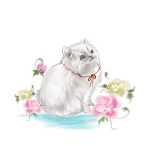 YUKKIY (YUKKIY)さんの【商用利用】かわいい猫や薔薇柄のイラストへの提案