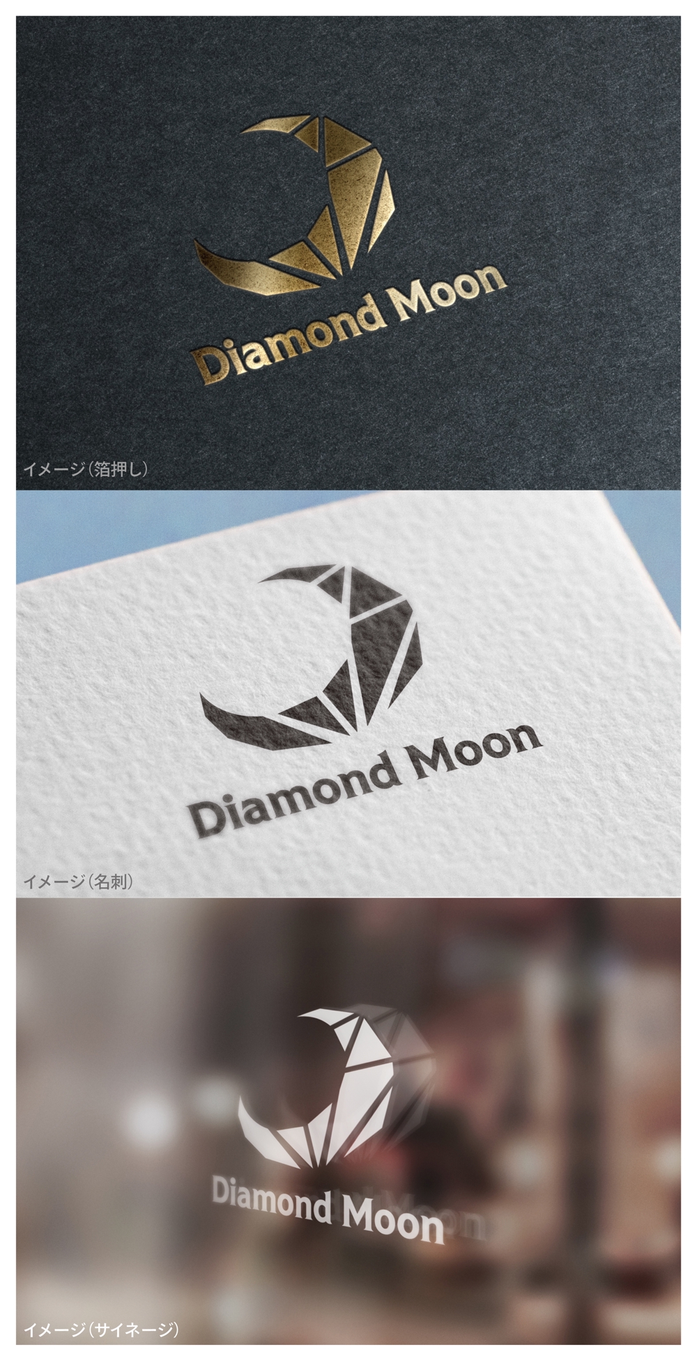 Diamond Moon_logo01_01.jpg