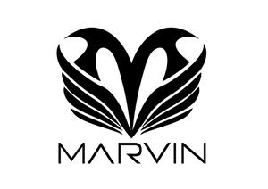 リオングラフィカ (shibazakura)さんのカーパーツサイト エアロ 「MARVIN」 のロゴへの提案