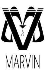 カナリア (knria)さんのカーパーツサイト エアロ 「MARVIN」 のロゴへの提案
