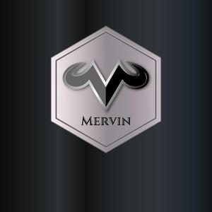delicious (delicious-design)さんのカーパーツサイト エアロ 「MARVIN」 のロゴへの提案