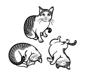 abi_sadaさんの看板猫のイラスト化・キャラクター化への提案