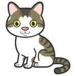 kazoo (Kazoo)さんの看板猫のイラスト化・キャラクター化への提案