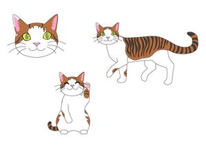 株式会社イーネットビズ (e-nets)さんの看板猫のイラスト化・キャラクター化への提案