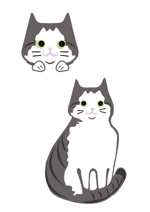 大澤　ユキ (cototo)さんの看板猫のイラスト化・キャラクター化への提案
