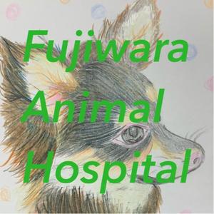 5115さんの動物病院のロゴ作成への提案