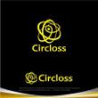 circloss3.jpg
