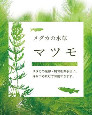 id1027 (id1027)さんの水草のパッケージのデザイン制作への提案