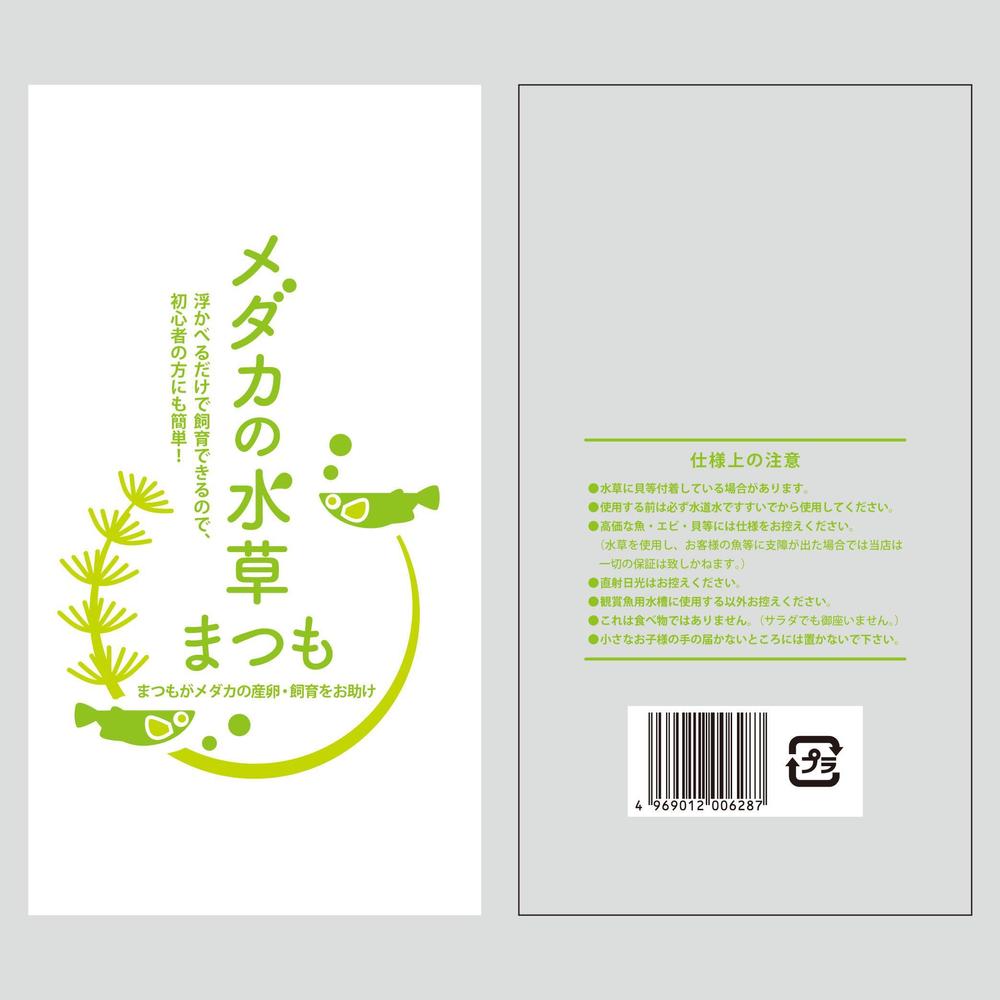 matsumo_01c.jpg