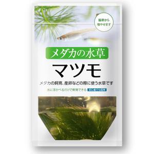 RAMUNE DESIGN STUDIO (ramune33)さんの水草のパッケージのデザイン制作への提案