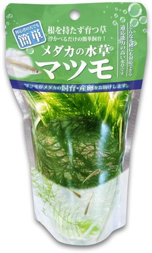 Big moon design (big-moon)さんの水草のパッケージのデザイン制作への提案