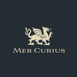 さんの「Mer Curius JAPAN  Inc.」のロゴ作成への提案