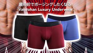 VainStain (VainStain)さんのクラウドファンディング用トップ画像の作成への提案