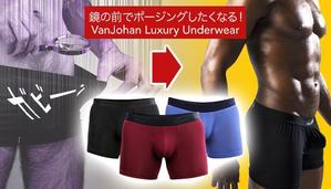 VainStain (VainStain)さんのクラウドファンディング用トップ画像の作成への提案