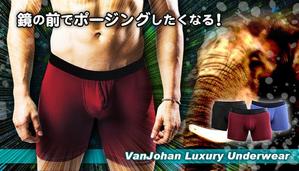 Washi (Washi)さんのクラウドファンディング用トップ画像の作成への提案