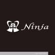 Ninja-1-2b.jpg