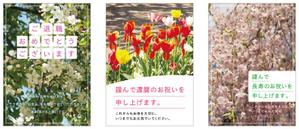 satomi_tさんのメッセージカードのデザイン作成への提案