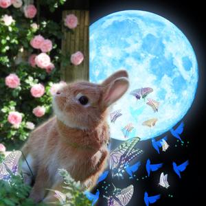 たかはし (hotice)さんの写真を編集して、より魅力的な「プロフィール写真」を作成しよう！～ #はじめてのアドビ ～への提案