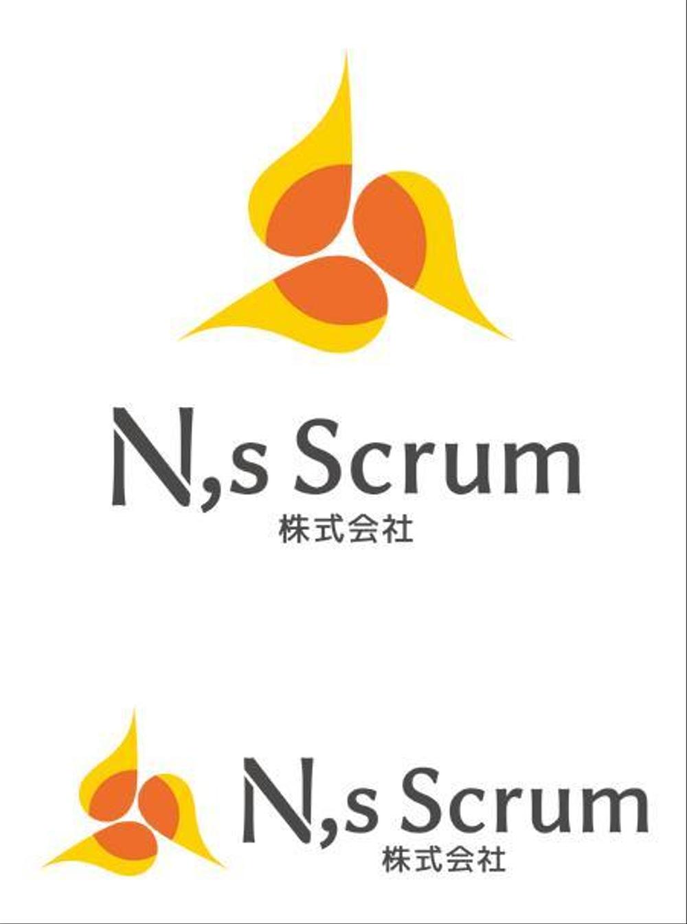N,s Scrum -2k.JPG