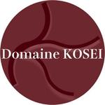 千 (chie-nt)さんの長野県塩尻市のワイナリー「Domaine KOSEI」のロゴ作成の仕事への提案