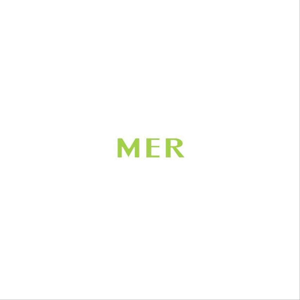 logo_MER_g.png