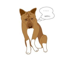 株式会社イーネットビズ (e-nets)さんの実在する保護犬をモデルにしたキャラクターデザインへの提案