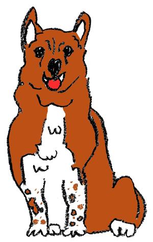 Takihana  (takihana)さんの実在する保護犬をモデルにしたキャラクターデザインへの提案
