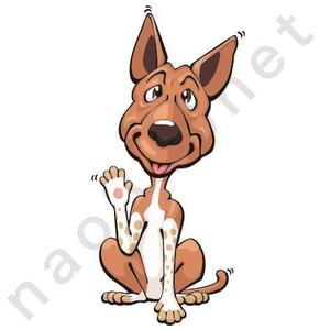 石橋直人 (nao840net)さんの実在する保護犬をモデルにしたキャラクターデザインへの提案