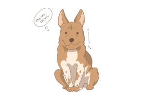 ◉ ｘ ◉ ()さんの実在する保護犬をモデルにしたキャラクターデザインへの提案
