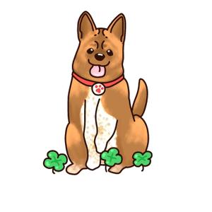 riko0210 (riko0210)さんの実在する保護犬をモデルにしたキャラクターデザインへの提案